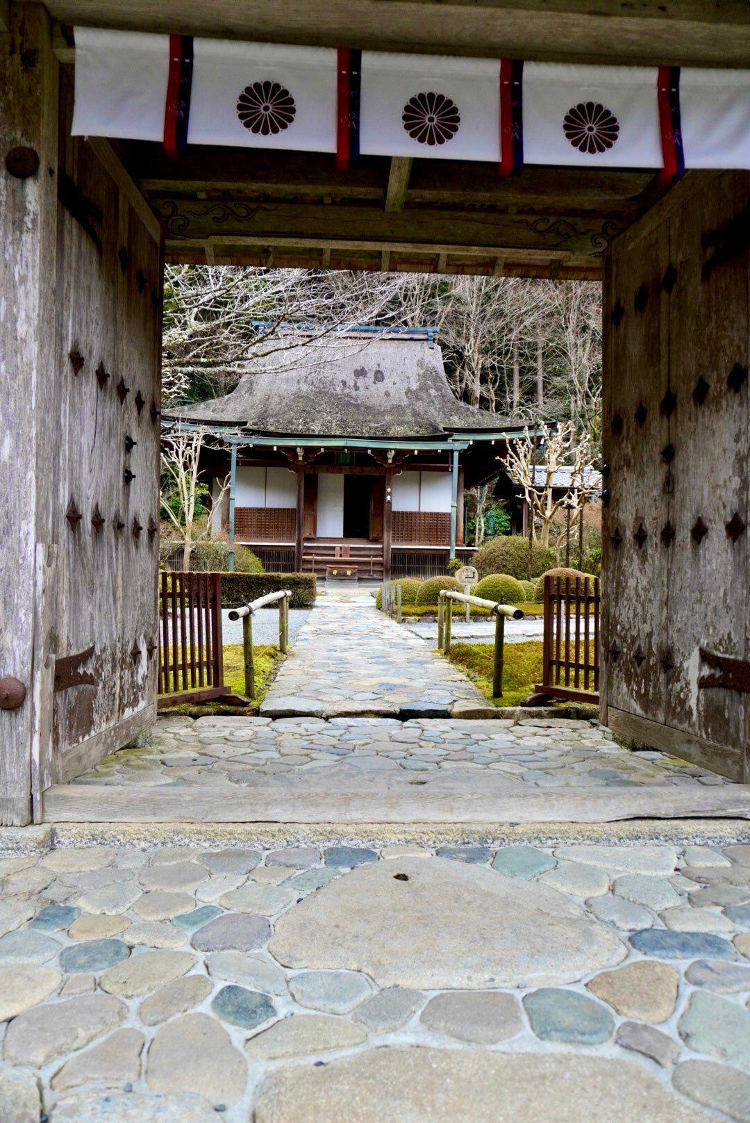 Temple Tea Tour