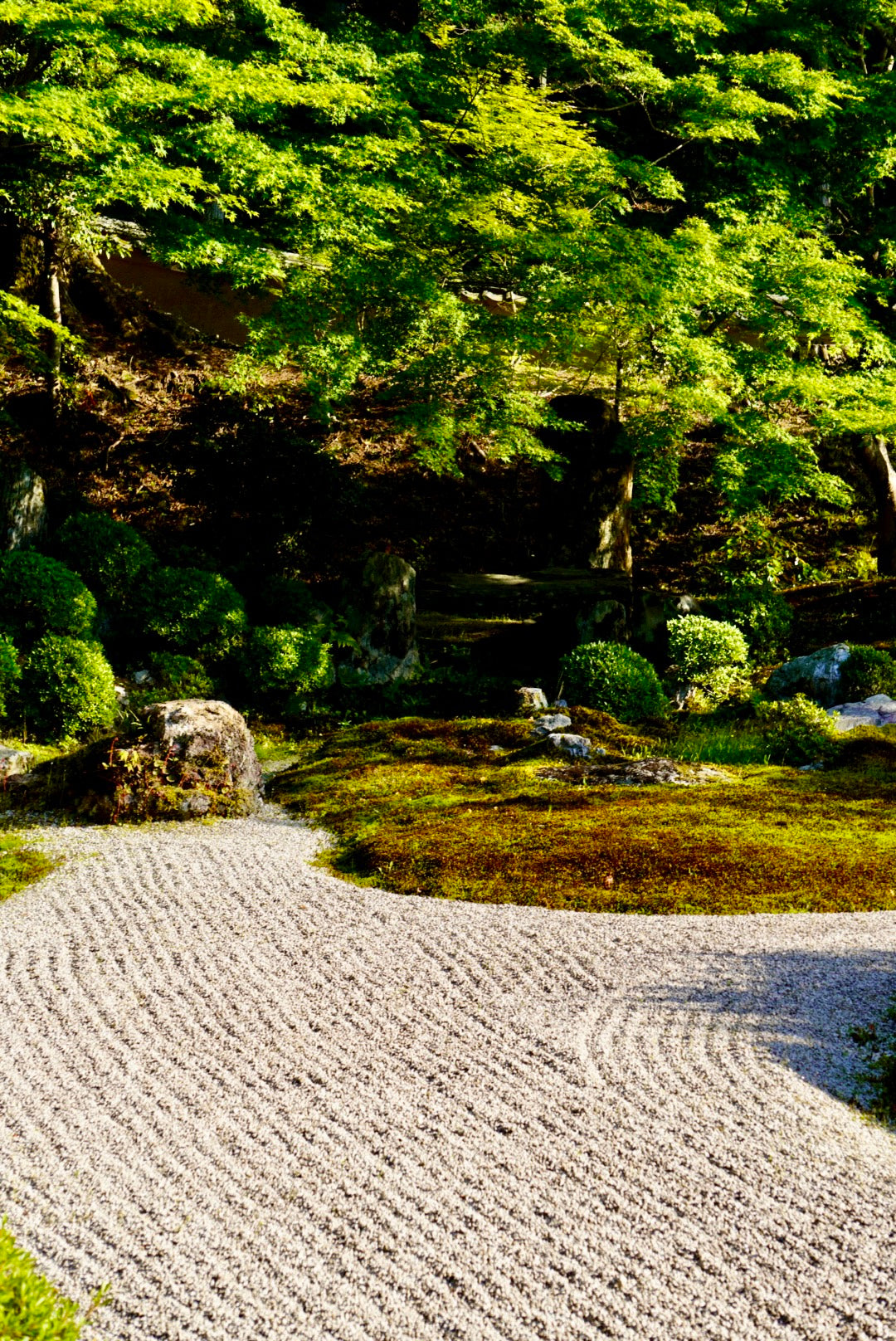 Tea Garden Tour