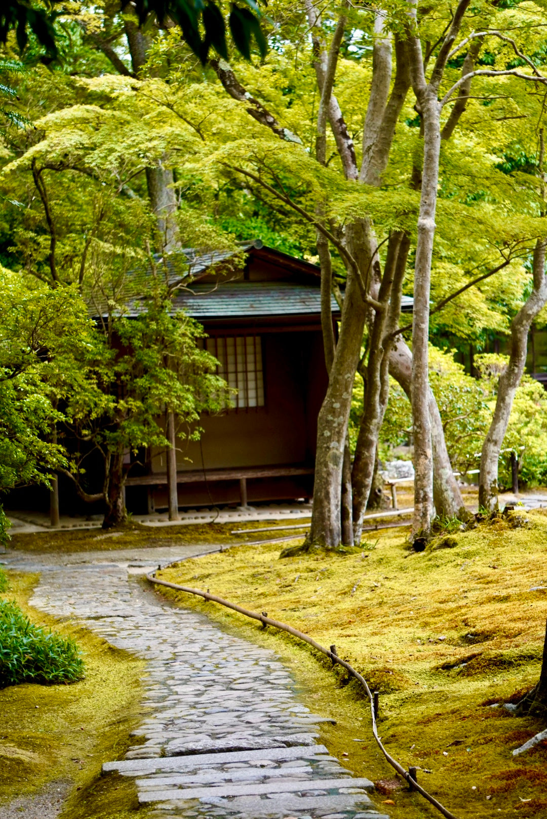 Tea Garden Tour