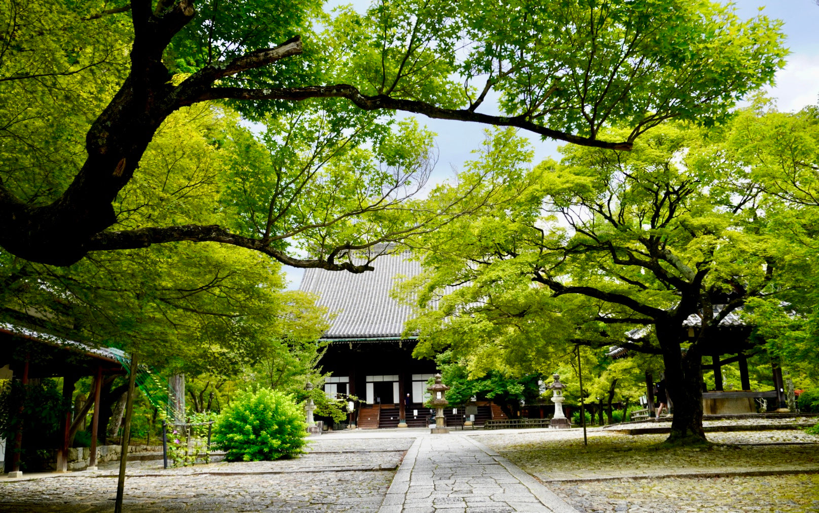Temple Tea Tour