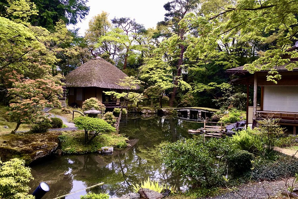 Solo Gorgeous Garden Tour