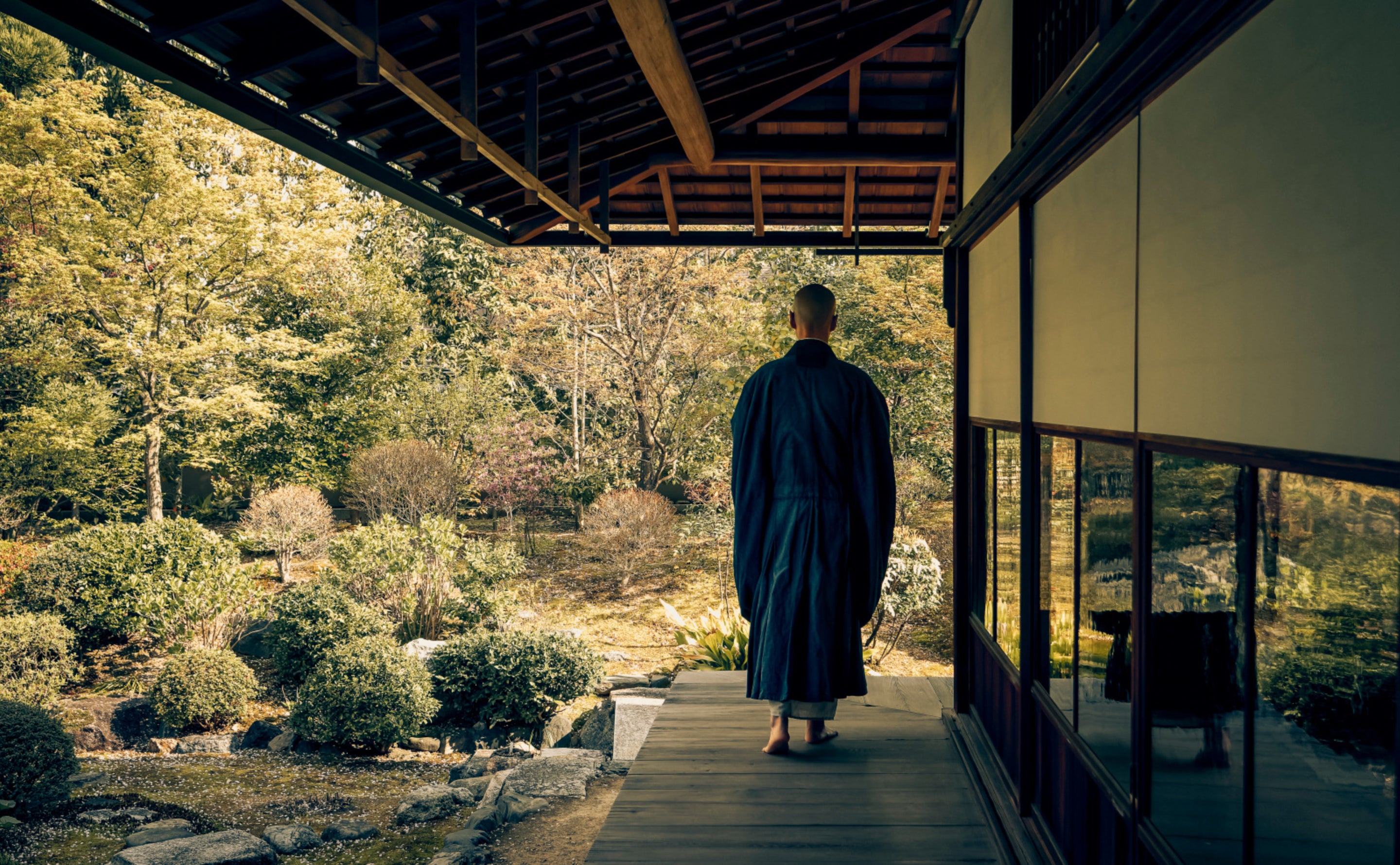 Solo Zen Foodie Tour