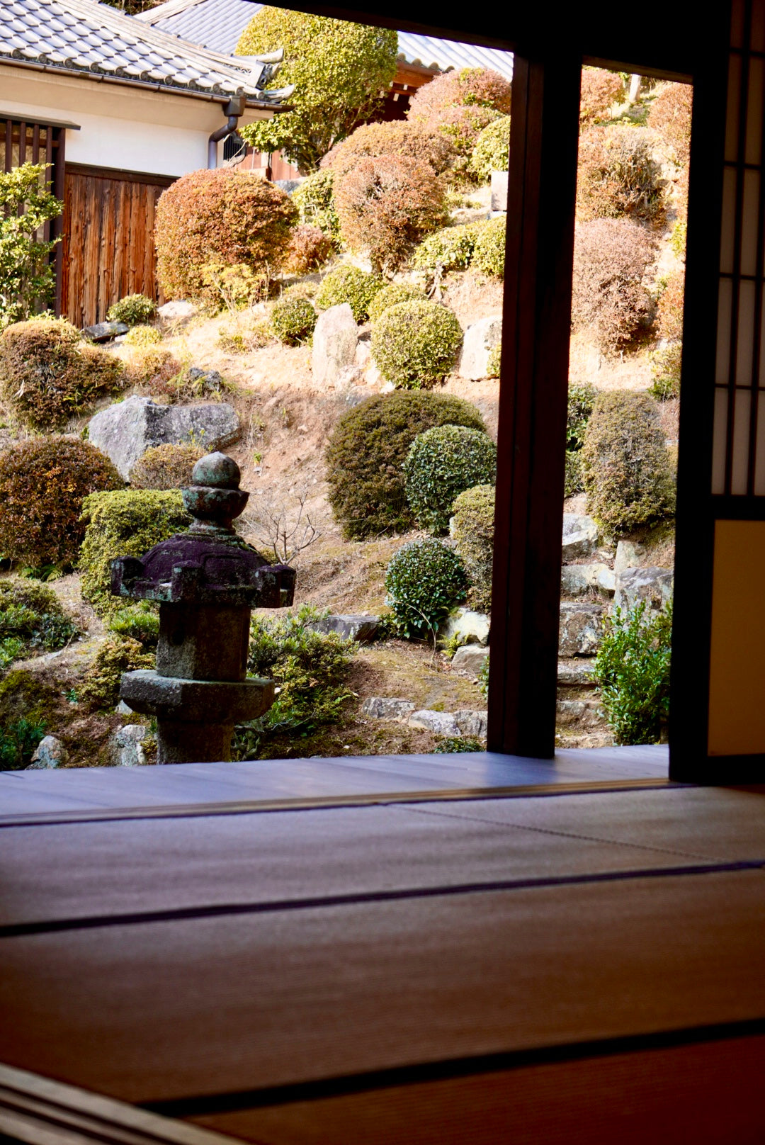 Solo Zen Foodie Tour