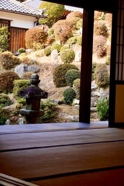 Solo Zen Foodie Tour