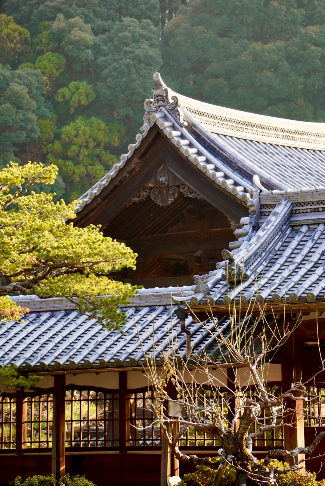 Solo Zen Foodie Tour