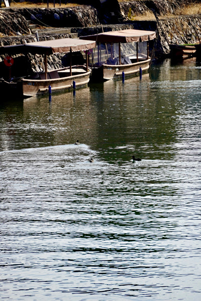 River Boat Ride