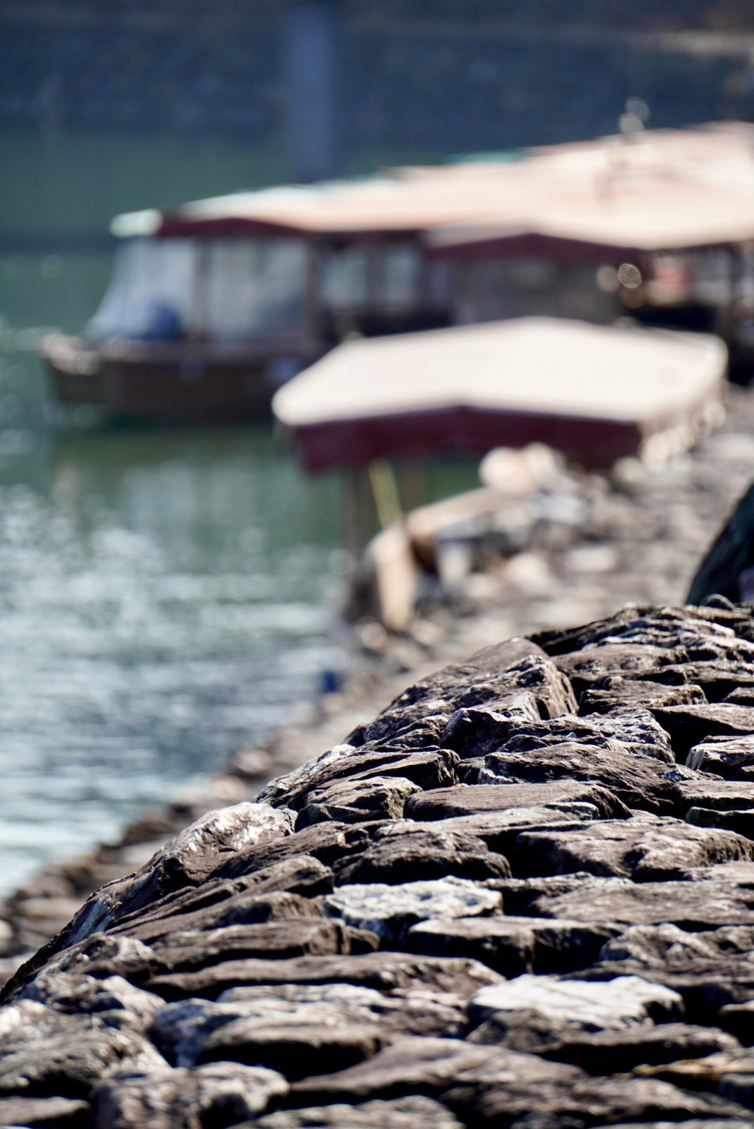 River Boat Ride
