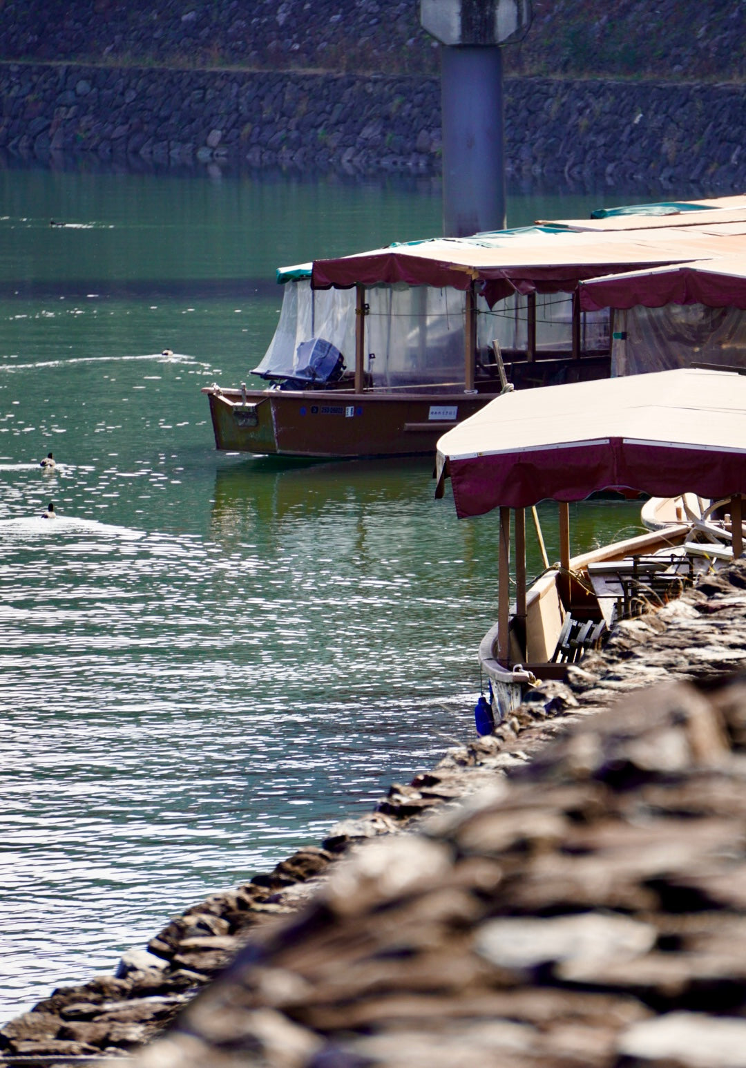 River Boat Ride