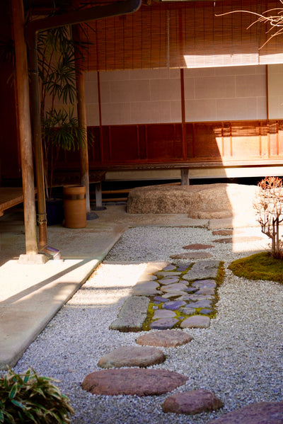 Sencha Tea Ceremony Demonstration