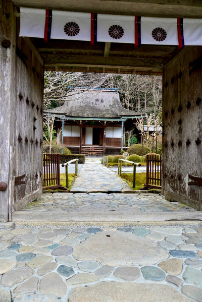 Temple Tea Tour