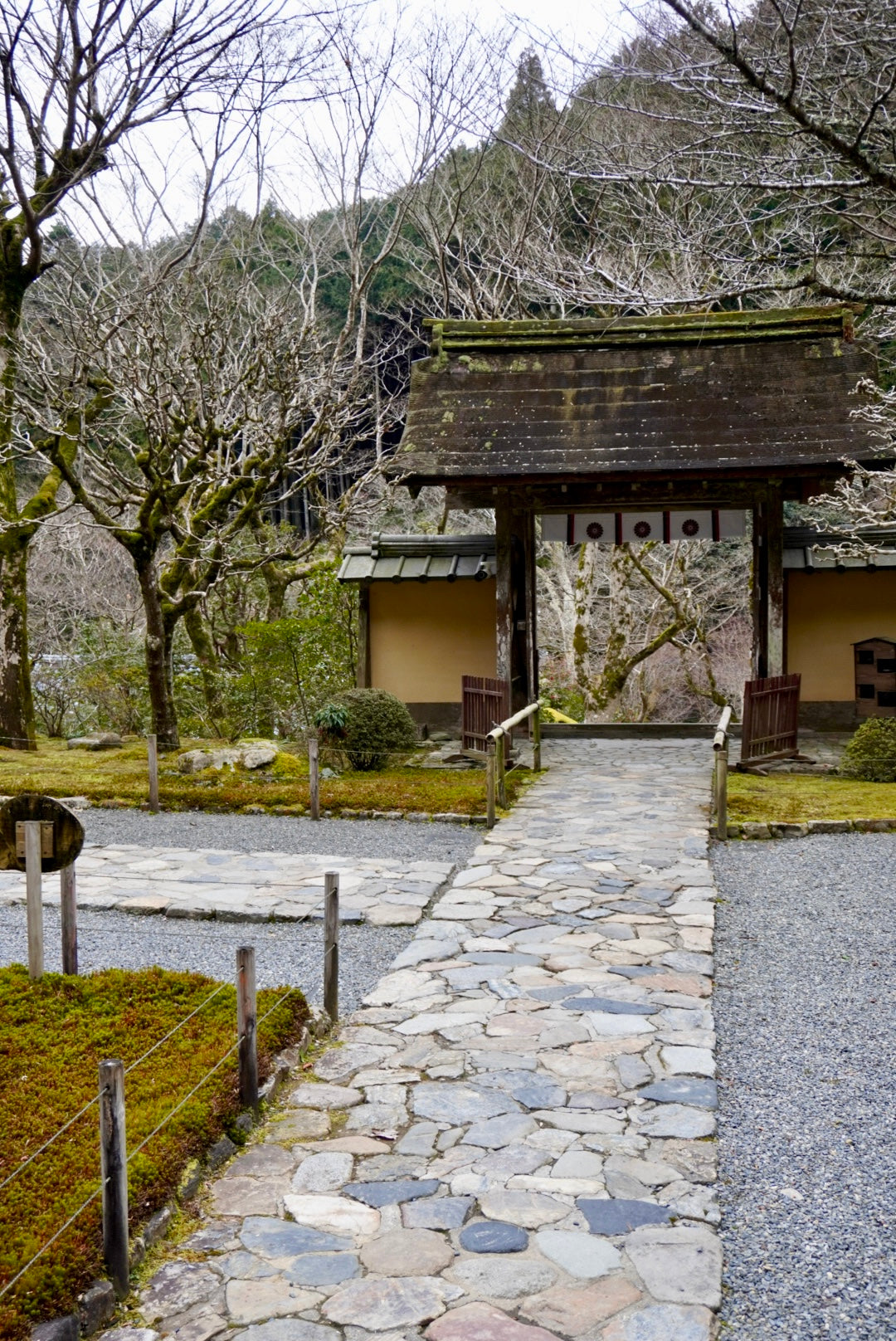 Temple Tea Tour