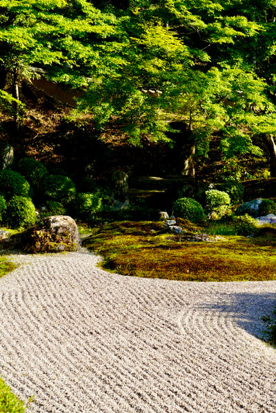 Tea Garden Tour