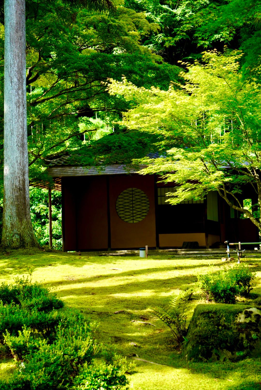 Tea Garden Tour