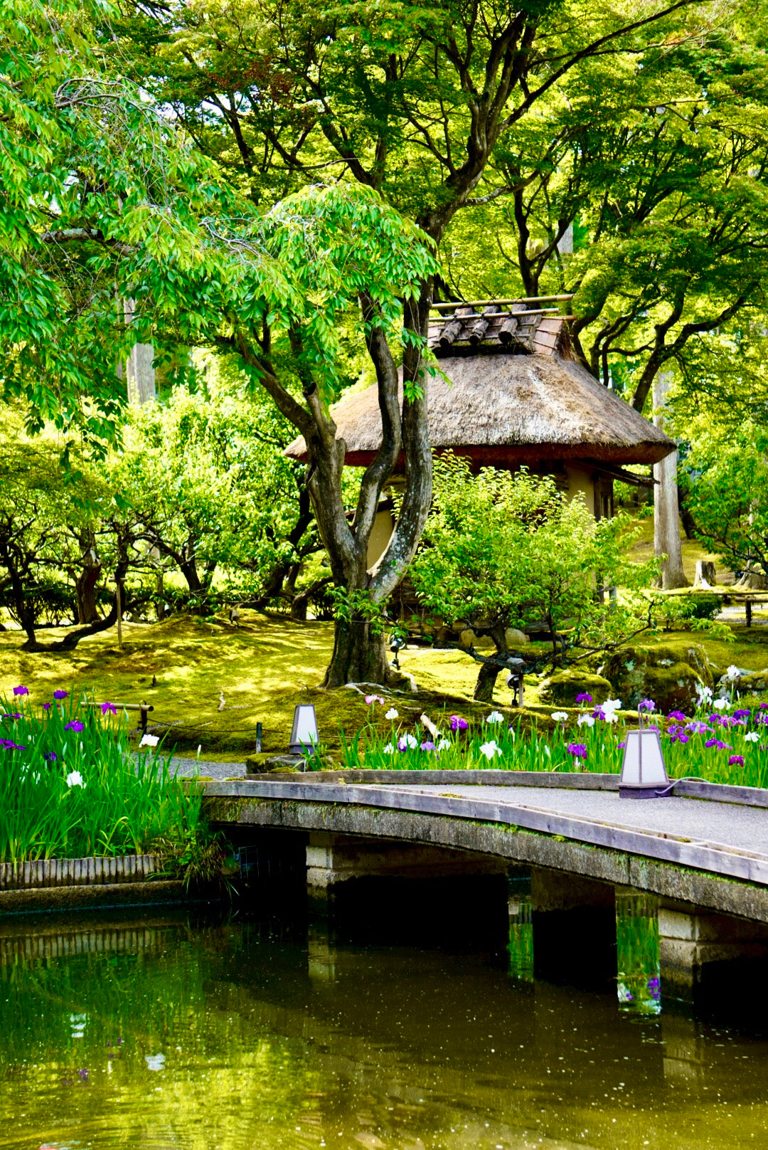 Tea Garden Tour