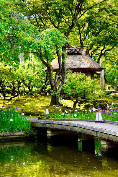 Tea Garden Tour