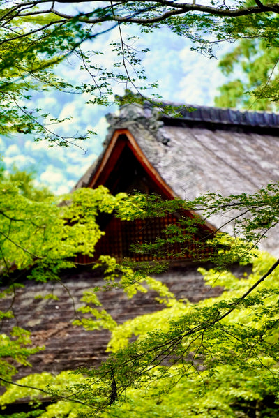 Temple Tea Tour