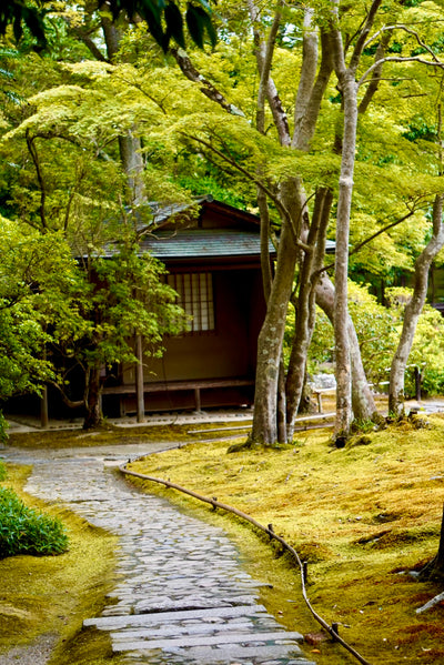Tea Garden Tour