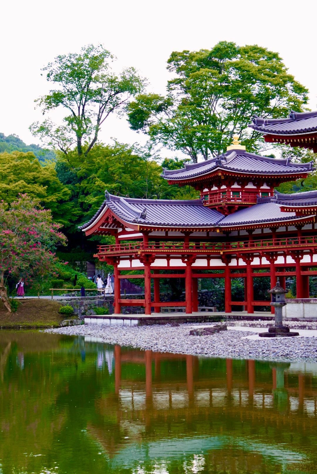 Temple Tea Tour