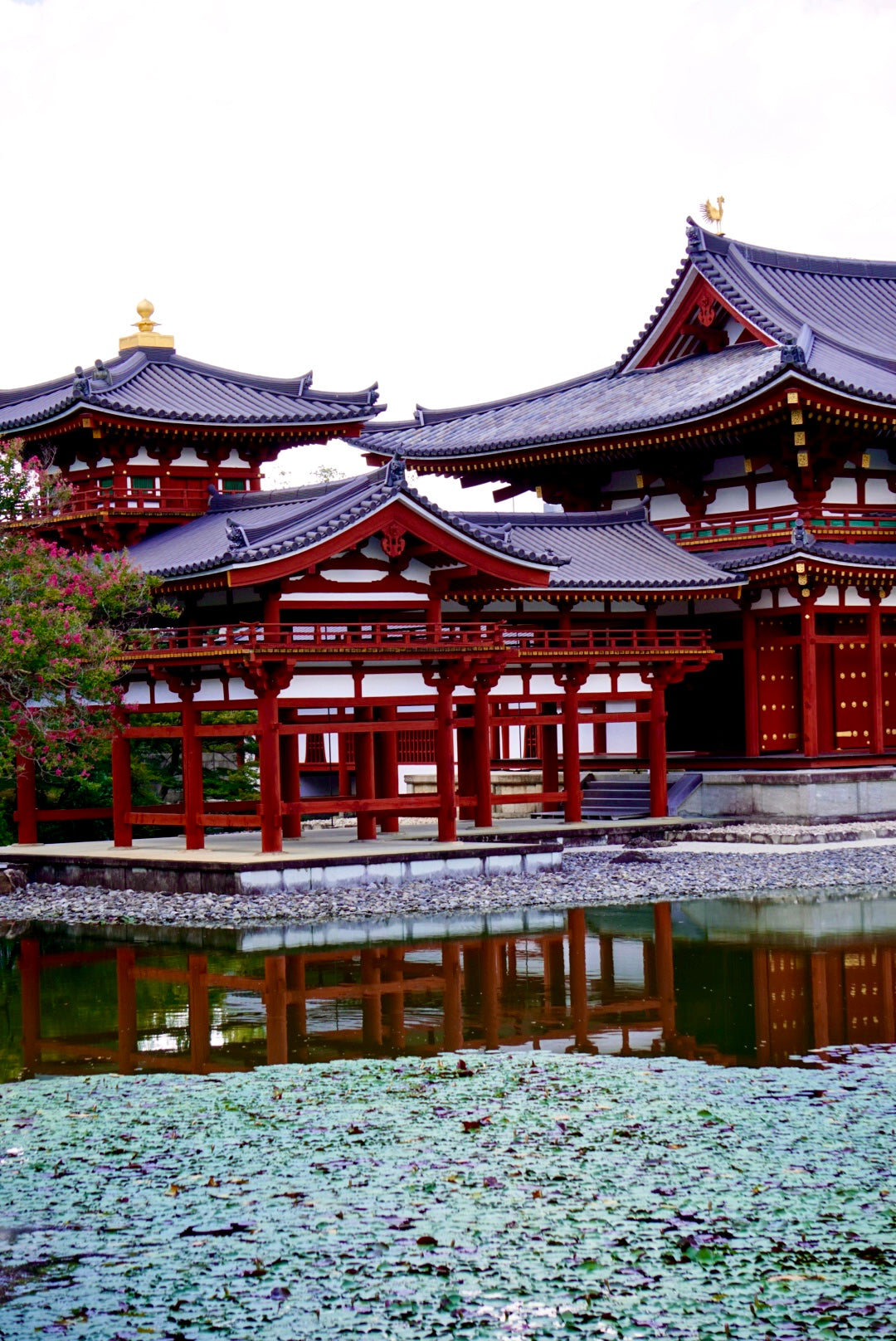Temple Tea Tour
