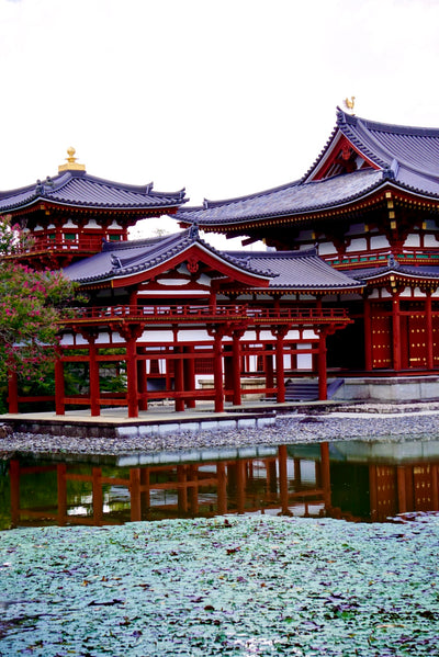 Temple Tea Tour