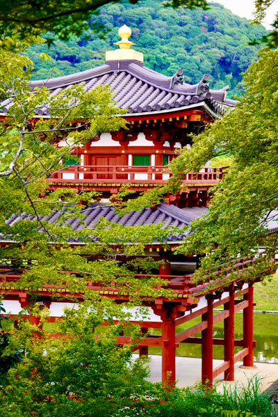 Uji Tea Tour
