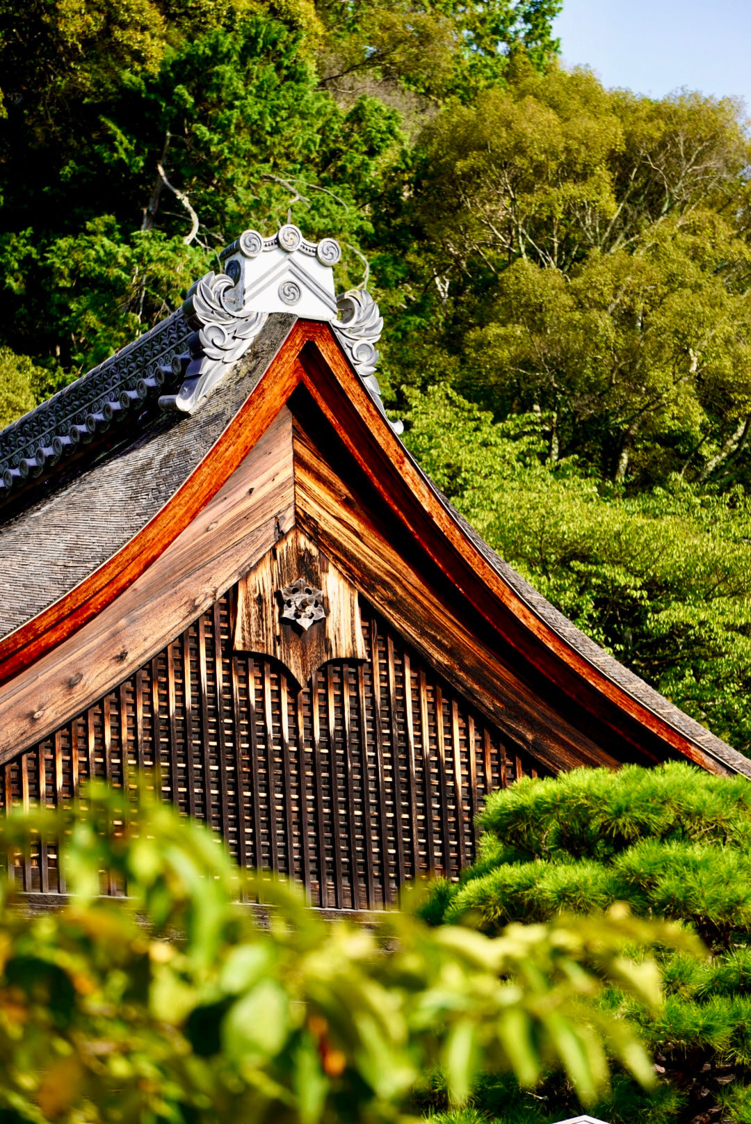 Temple Tea Tour