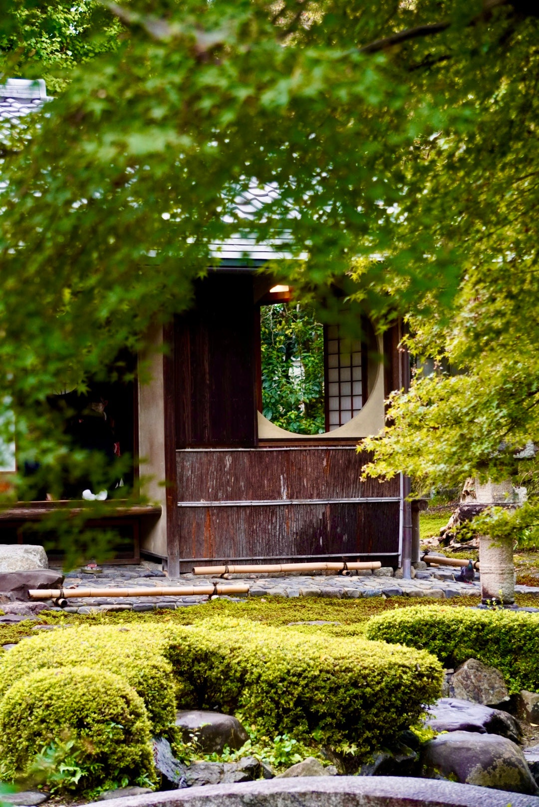 Tea Garden Tour