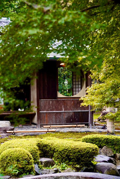 Tea Garden Tour