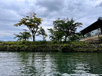 River Boat Ride