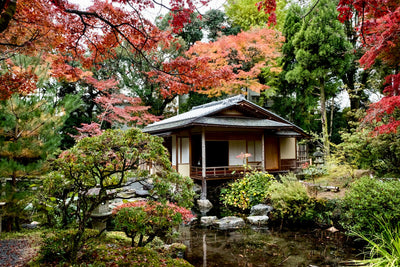 Tea Garden Tour