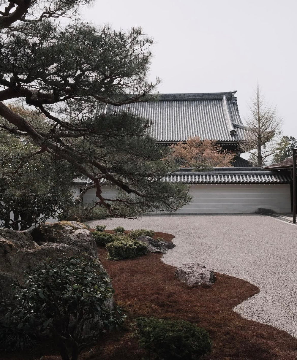 <h2>Here's What Tea Enthusiasts Say About Nichome Connect Tours</h2>
