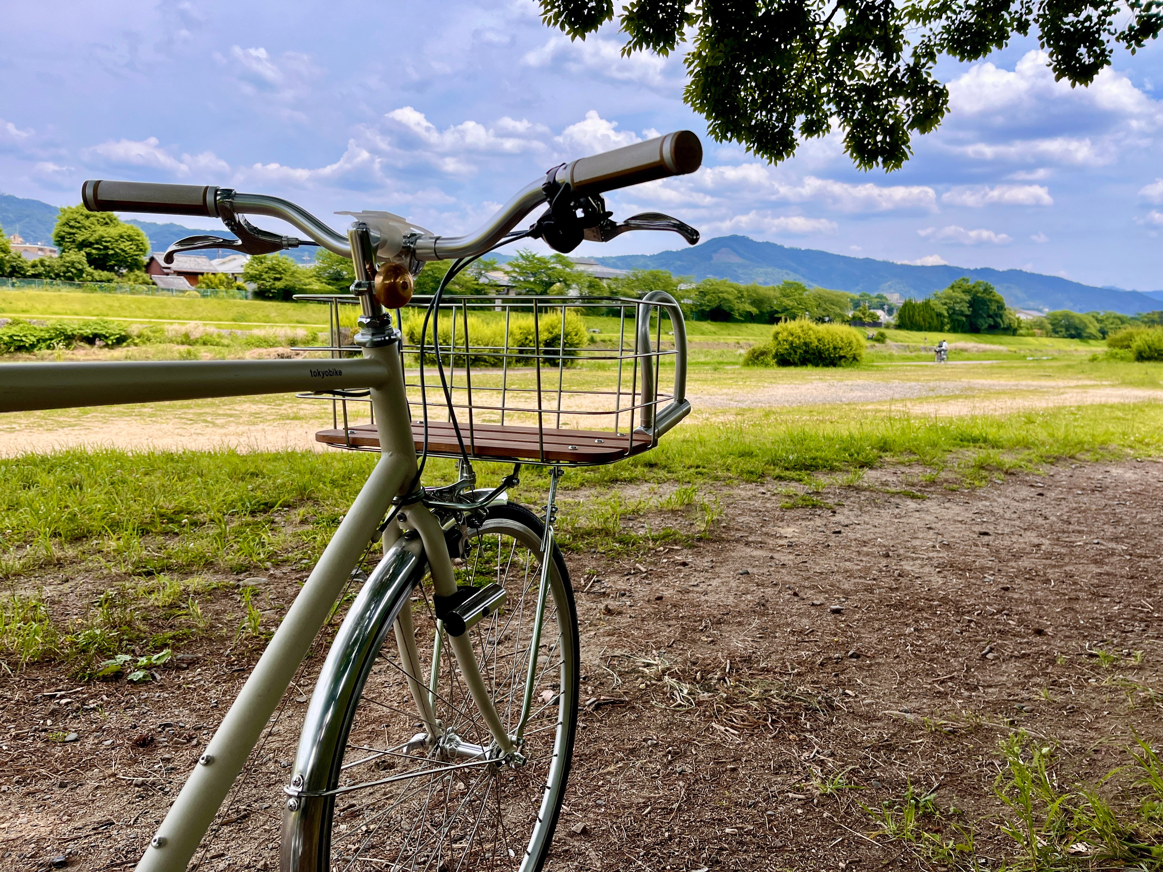 Cycling Tea Tour