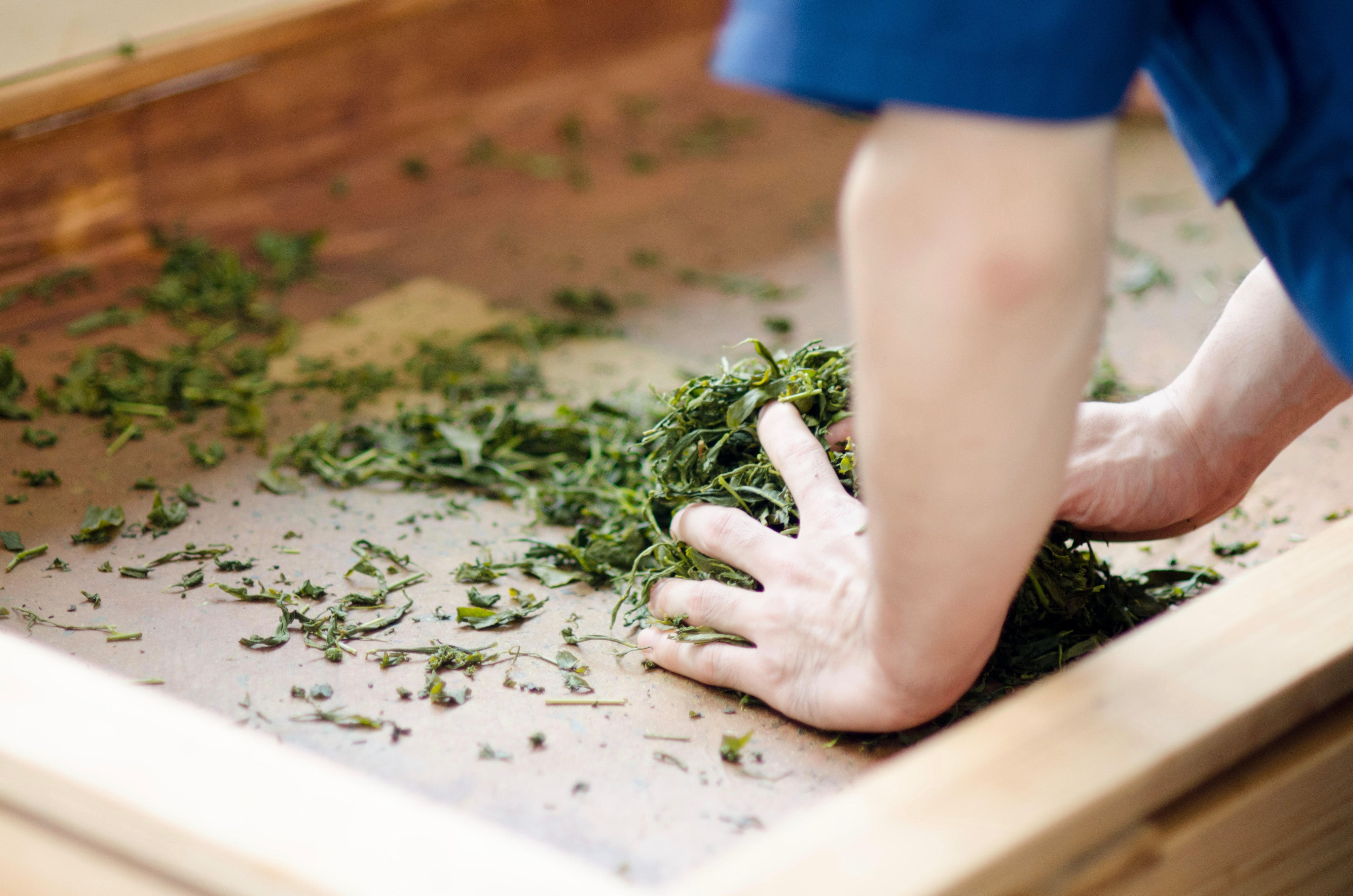 Hand Roll Japanese Tea